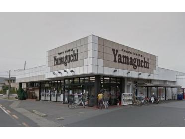 ヤマグチスーパー毛野店：3312m