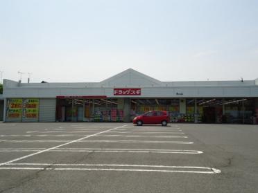 ドラッグスギ鳥山店：1113m