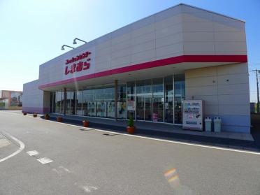 しまむら 下田島店：500m