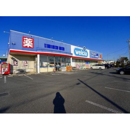 ウエルシア館林松原店：350m