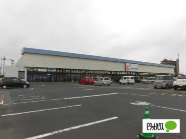 カワチ薬品足利南店：1255m