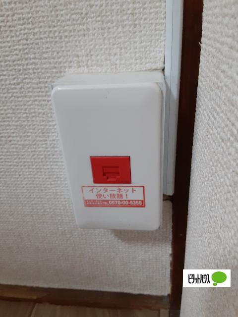 コロラード毛野（303） その他