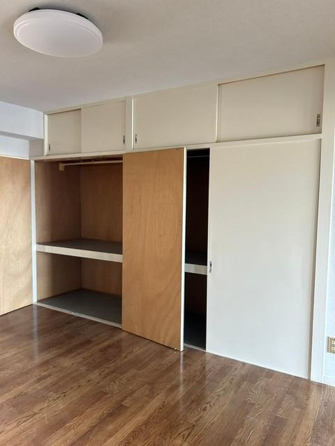 茂木マンション（302） 収納