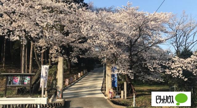 葉鹿公園：1850m