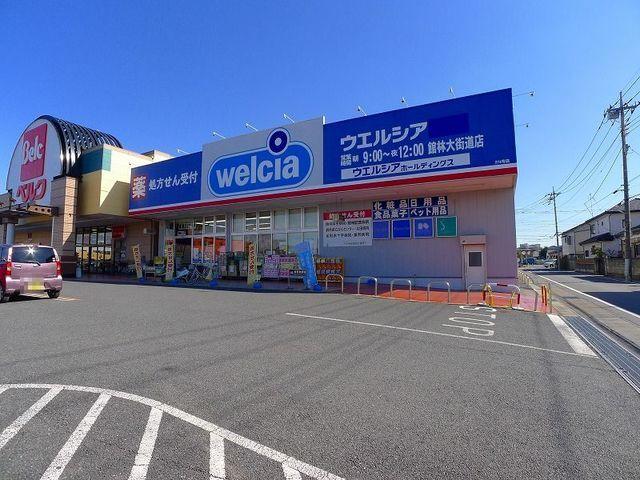 ウエルシア館林大街道店：541m