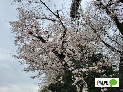 栄公園：787m