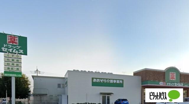 ドラッグセイムス館林美園店