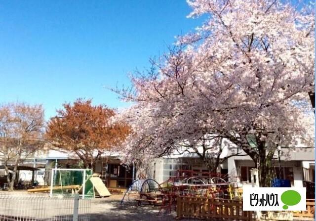 認定こども園呑竜幼稚園：1262m