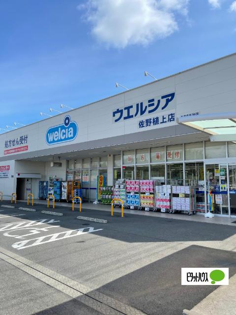 ウエルシア佐野植上店：352m