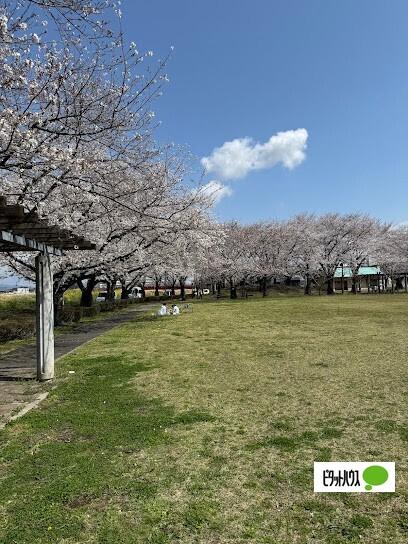 朱雀中央公園：954m