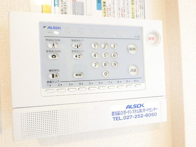 ボナール　Ａ（303） 部屋画像
