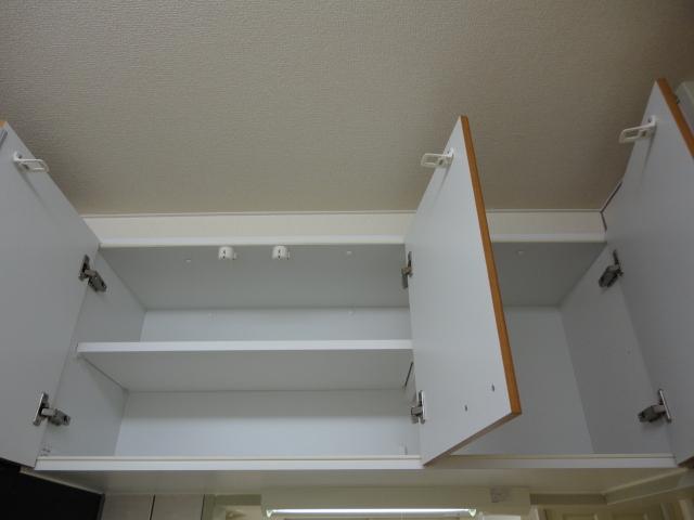 パルフェドルミナスⅡ 部屋画像
