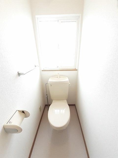 カラジューム雅Ａ（203） トイレ