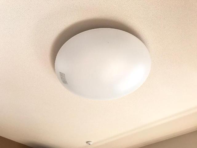 ルピナス 部屋画像