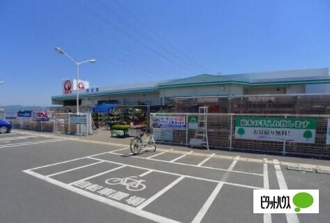 コメリハード＆グリーン城西の杜店：2416m