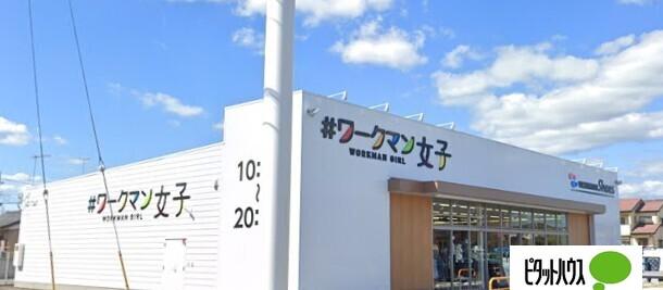 *ワークマン女子カインズ佐野店：214m