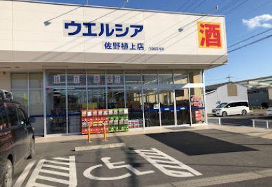 ウエルシア佐野植上店：750m