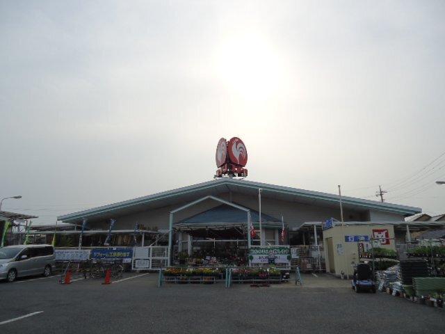 コメリハード＆グリーン新田店：816m