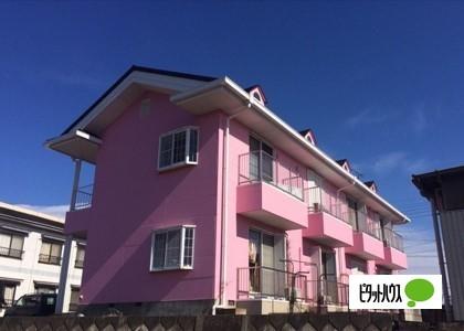 ピタットハウス太田店