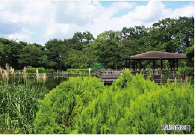 尾竹橋公園：1301m
