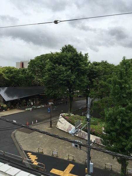 M'sTerrace駒沢公園（502） 眺望