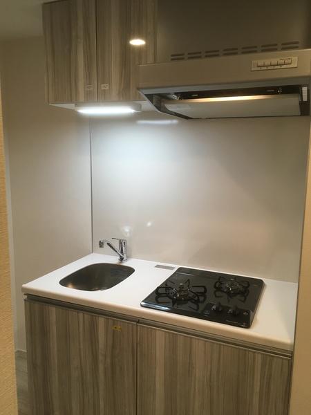 デュオステージ西ケ原（102） 部屋画像