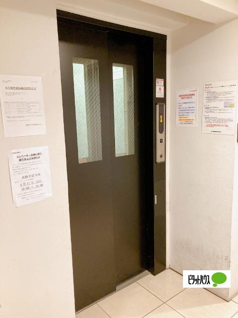 パレ・ホームズ武蔵関Ⅱ（403） 共有部分