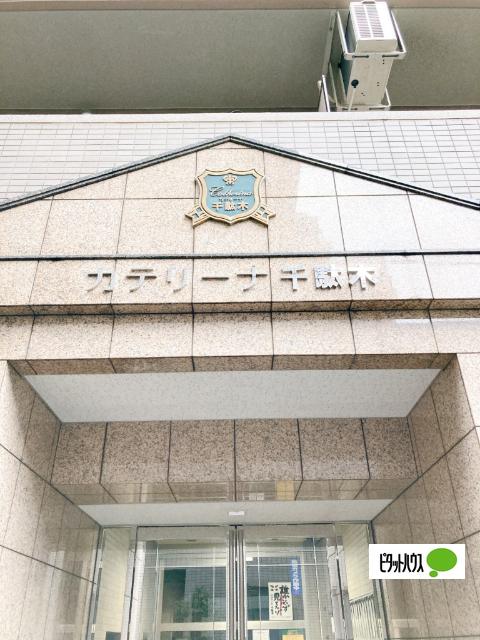 カテリーナ千駄木 物件画像