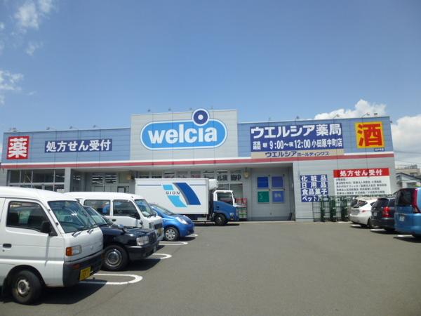 ウエルシア薬局小田原中町店：597m