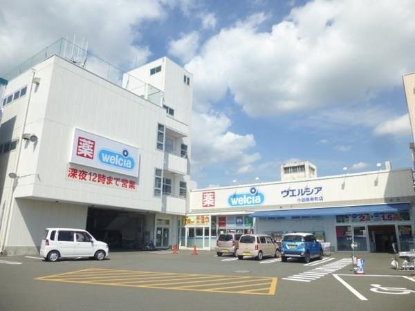 ウエルシア小田原寿町店：738m