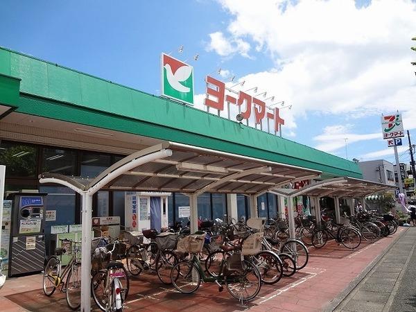 ヨークマート鴨宮店：86m