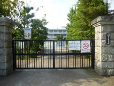 小田原市立国府津小学校：509m