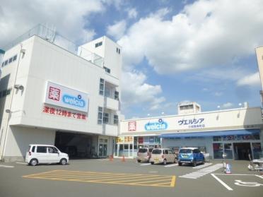 ウエルシア小田原寿町店：300m