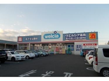 ウエルシア中町店：600m