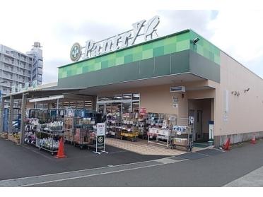 小田原百貨店板橋店：2000m