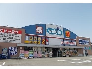 ウエルシア小田原国府津店：950m