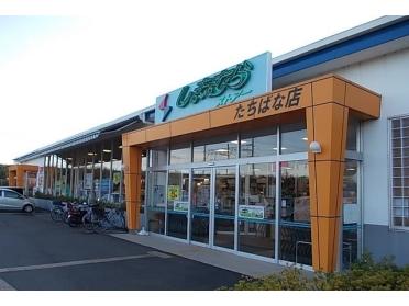 しまむらストアーたちばな店：1500m