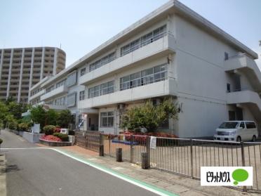 小田原市立前羽小学校：608m