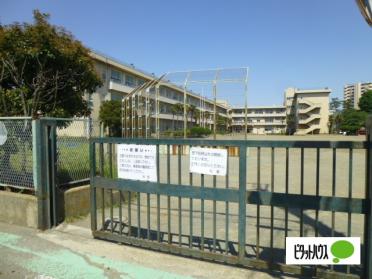 小田原市立酒匂小学校：821m