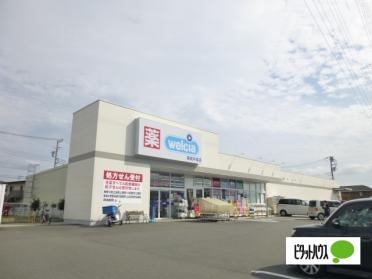 ウエルシア開成牛島店：1702m