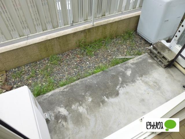 ピア・ネスト（103） 部屋画像
