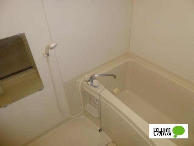エクレシア（207） 部屋画像