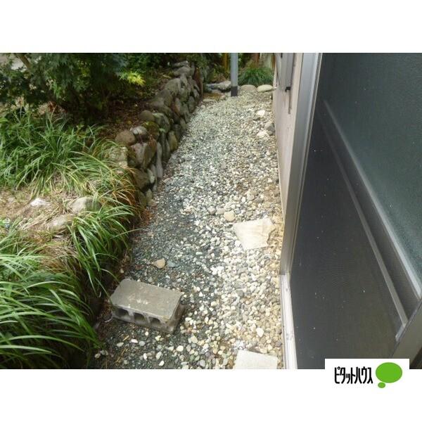 松本貸家（2） 庭
