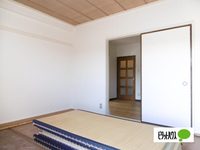 初瀬川ハイツ（305） その他部屋・スペース