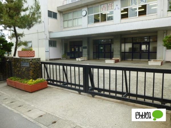 小田原市立泉中学校：299m
