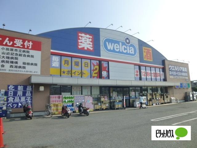 ウエルシア小田原国府津店：964m