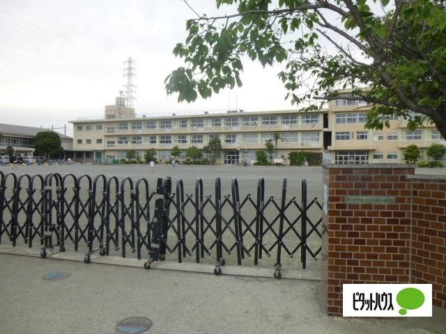 小田原市立桜井小学校：769m