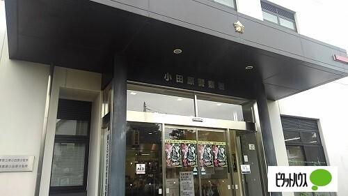 小田原警察署：234m