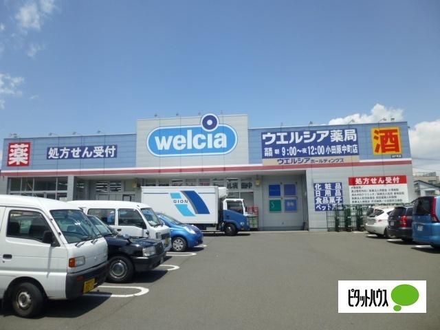 ウエルシア小田原中町店：769m