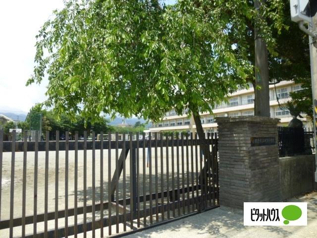 小田原市立町田小学校：559m